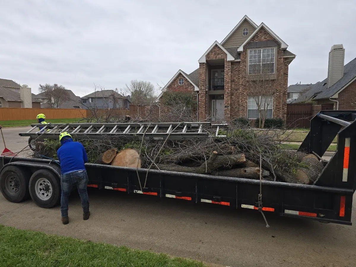 Expert Tree Pest Control with proper safety equipment in Grant